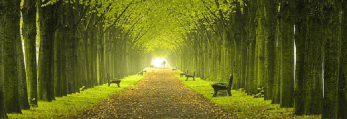 cry-the-lost-motherland