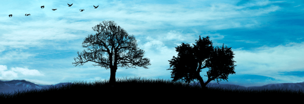 el-negocio-de-la-vida