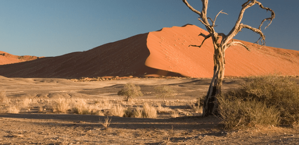 to-renew-the-face-of-this-land