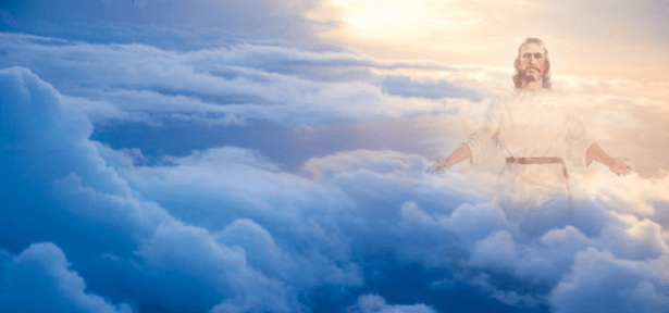 forward-to-our-roots-2