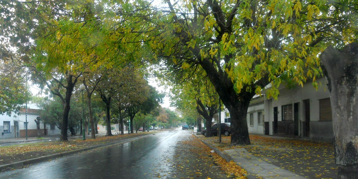buenos-aires-in-the-fall.png