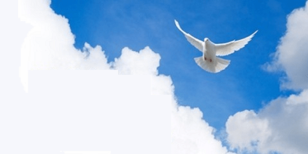 _history-of-a-triump-700x350